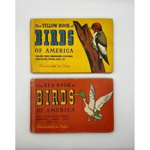 The Yellow & Red Book Of Birds 1941 Illustrated Color Mini Books Bird Watching